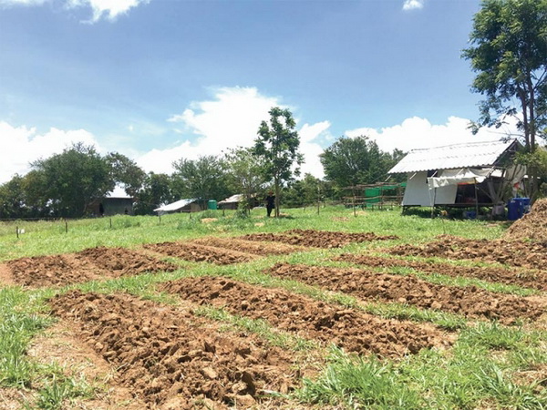 ไล่บี้ภาษีที่ดิน ส.ป.ก.ทั่วประเทศ กม.ชี้ผู้เช่า-ผู้ครอบครอง เจอมาตรการบังคับ-บทลงโทษ