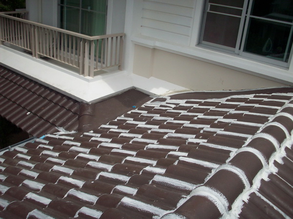 หลังคาบ้าน หลังคาบ้าน