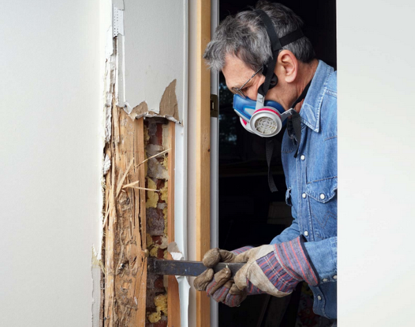 เจาะปลวก เจาะปลวก