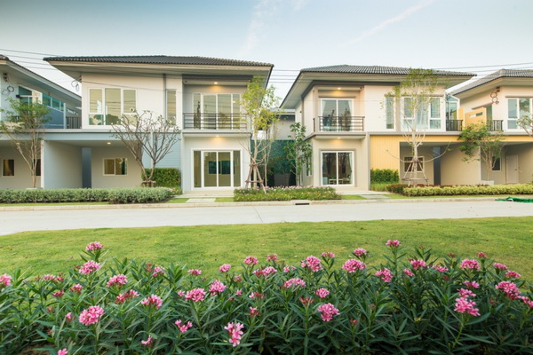 �ҫ�� ����� �͹���ͧ-�ç�����