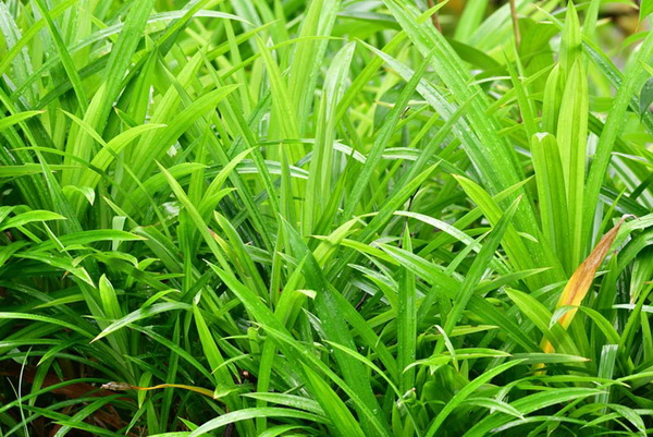 ��¡Ѻ���͡�С�ٴ