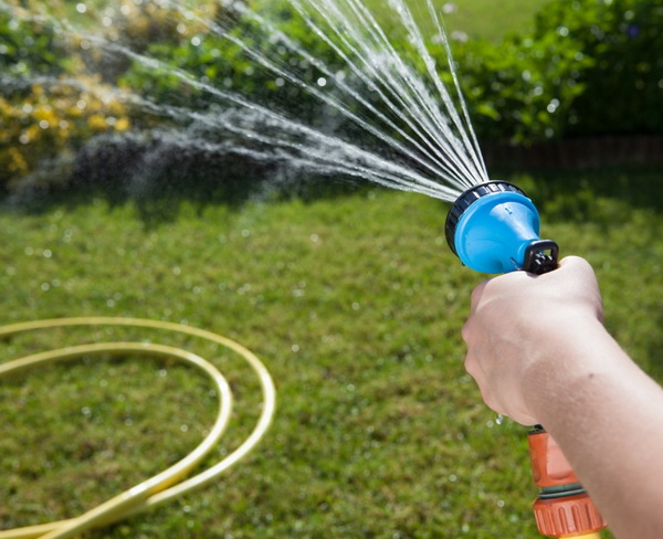 รดน้ำต้นไม้ รดน้ำต้นไม้