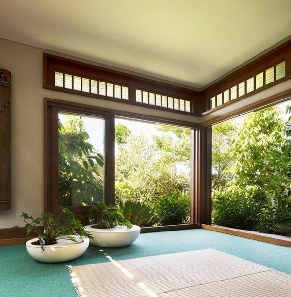 �������;�鹷��������