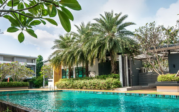 �Ե��ૹ�� ����Թ���