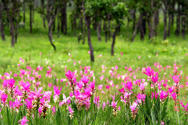 �͡������Ǻҹ