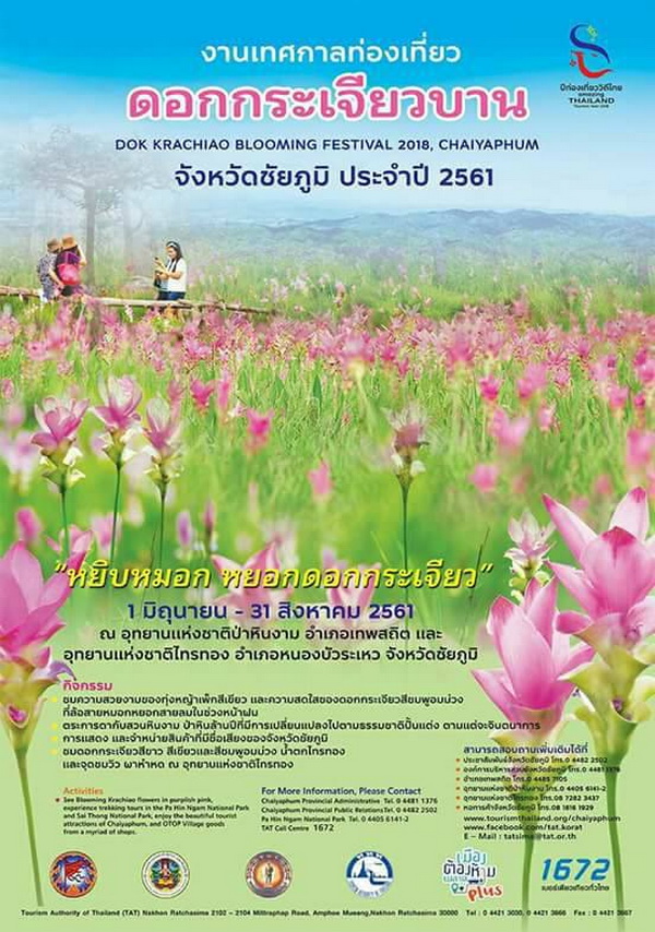 �ҹ��Ժ��͡ ��͡�͡�������