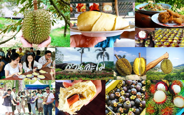 �ؿ�������